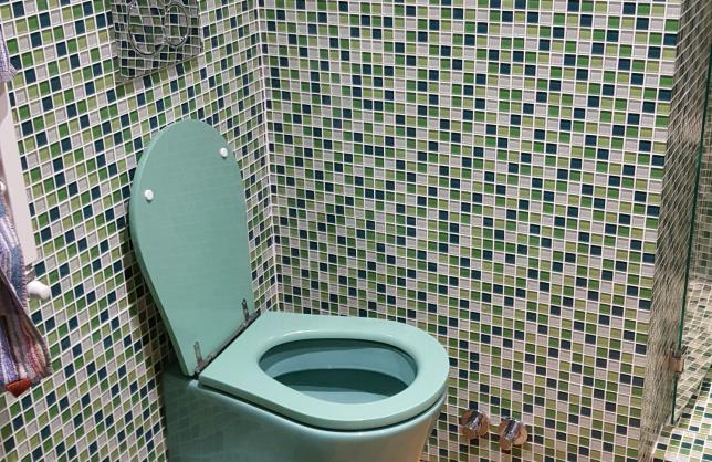 Bathroom whit mosaic and parquet